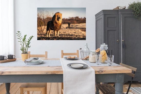Affiche Lion - Colline - Soleil - 120x80 cm