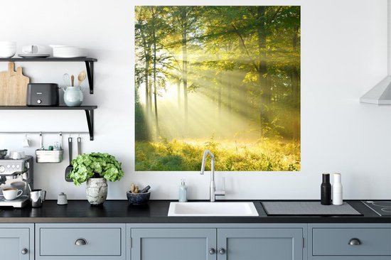 Stickers muraux - Forêt - Lumière - Printemps - 100x100 cm - Film Adhésif XXL