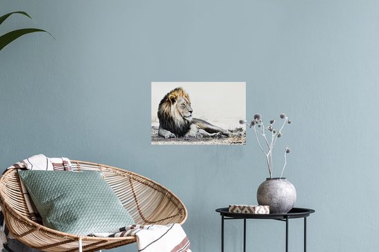 Stickers muraux - Illustration - Lions - Couleur - 30x20 cm - Feuille adhésive