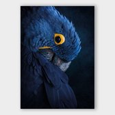 Poster Blue Parrot - Dibond - Meerdere Afmetingen & Prijzen | Wanddecoratie - Interieur - Art - Wonen - Schilderij - Kunst
