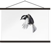 Mésange charbonnière devant fond blanc poster textielposter lattes noires 120x80 cm
