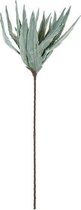 Decoratieve plant DKD Home Decor EVA (36 x 90 cm)