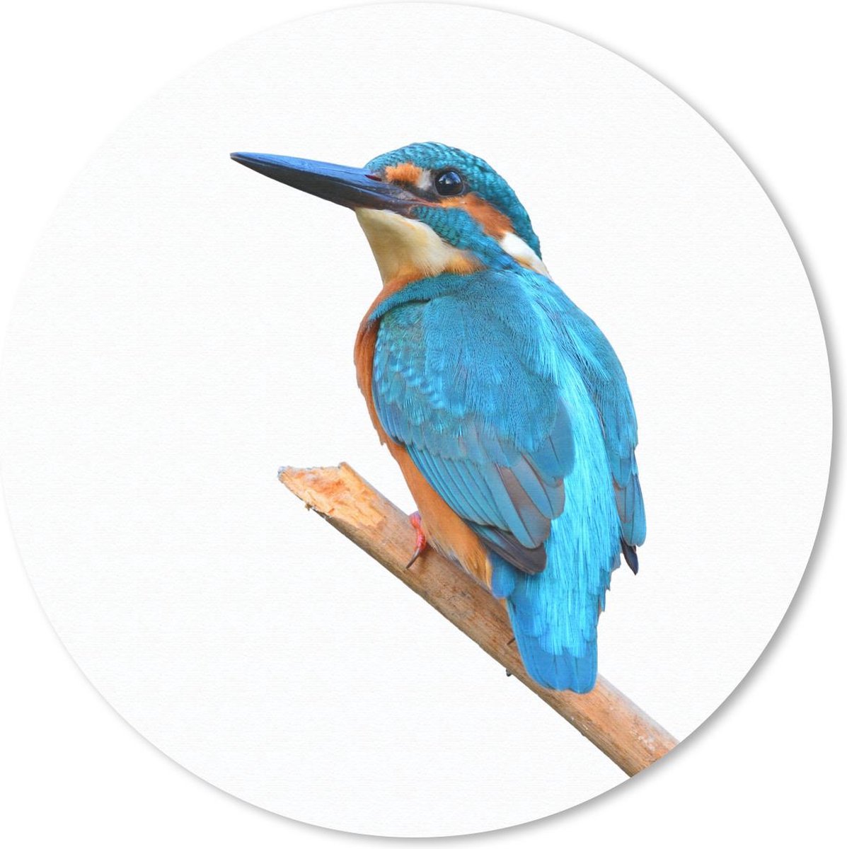 Muismat rond 20x20 cm - Mousepad IJsvogel - Takken - Wit - Ronde muismatten