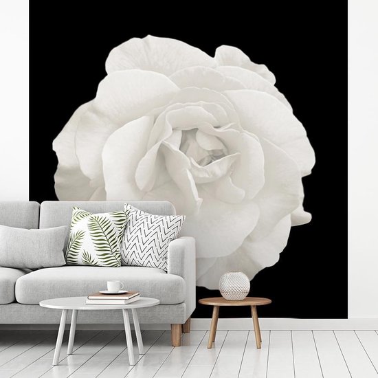 Papier peint - Papier peint photo peint Rose - Zwart - Wit - Largeur 280 cm x hauteur 280 cm