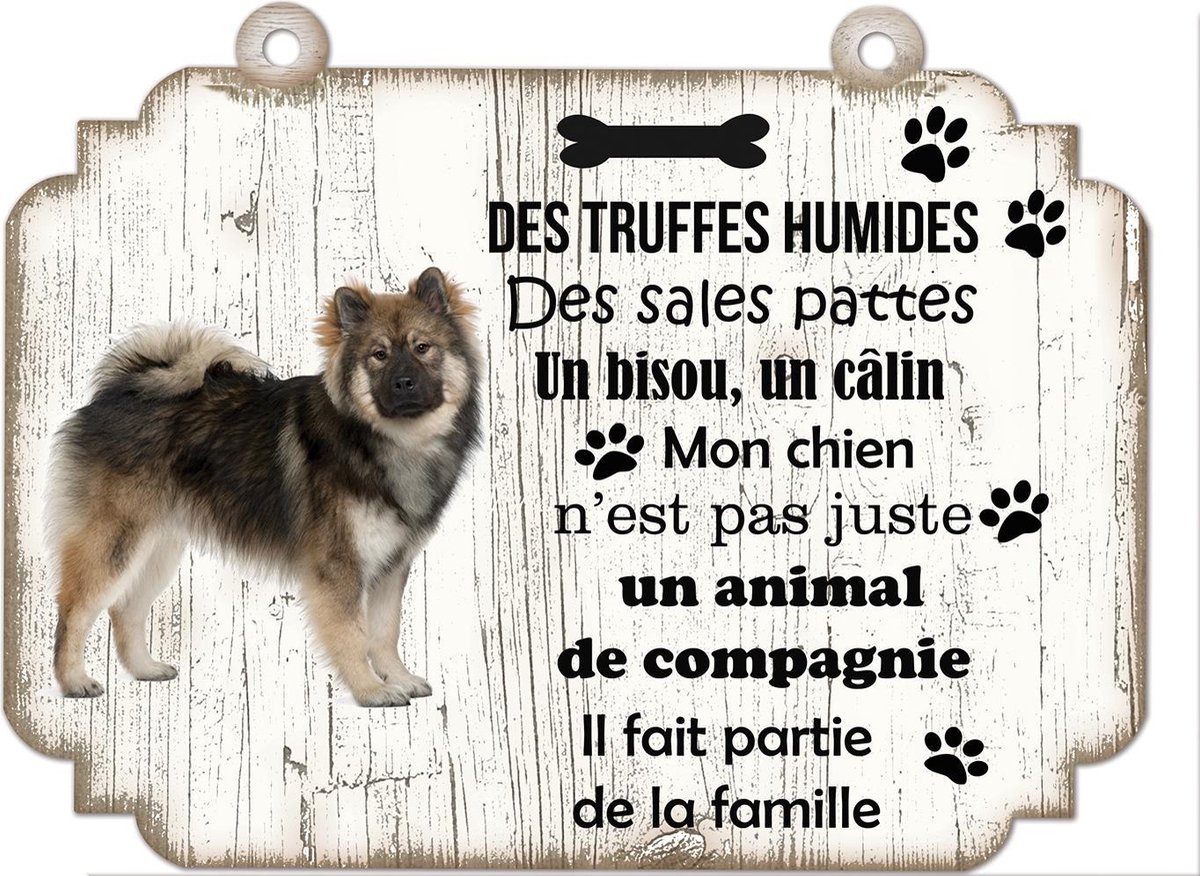 Tableau Déco - Eurasier