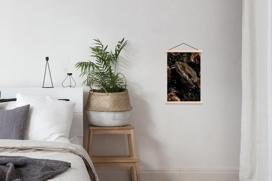 Porte-affiche avec affiche - Affiche scolaire - Reptile - Plantes - Fleurs - 40x60 cm - Lattes vierges