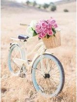 Diamond painting - Fiets met bloemen in een mand - Geproduceerd in Nederland - 20 x 30 cm - dibond materiaal - vierkante steentjes - Binnen 2-3 werkdagen in huis