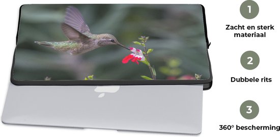Housse ordinateur 13 pouces 34x24 cm - Colibri Calliope - Housse Macbook & Laptop Un colibri calliope vole près d'une fleur - Housse ordinateur portable avec photo