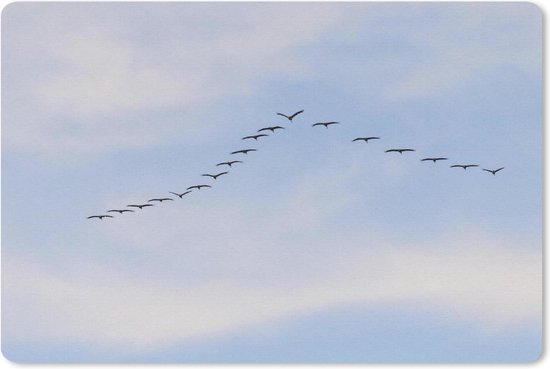 Bureau mat - Zwerm vogels vliegt in een V-vorm - 60x40 | bol.com