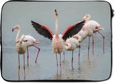 Laptophoes 14 inch - Een flamingo die zich uitstrekt - Laptop sleeve - Binnenmaat 34x23,5 cm - Zwarte achterkant