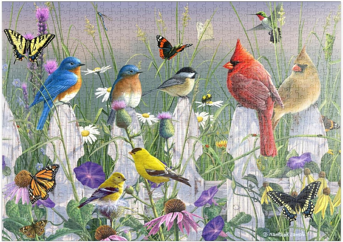 Legpuzzel - Puzzelstukjes - Ontspanning - Hoge resolutie print - 1000 Stukjes - Multicolor