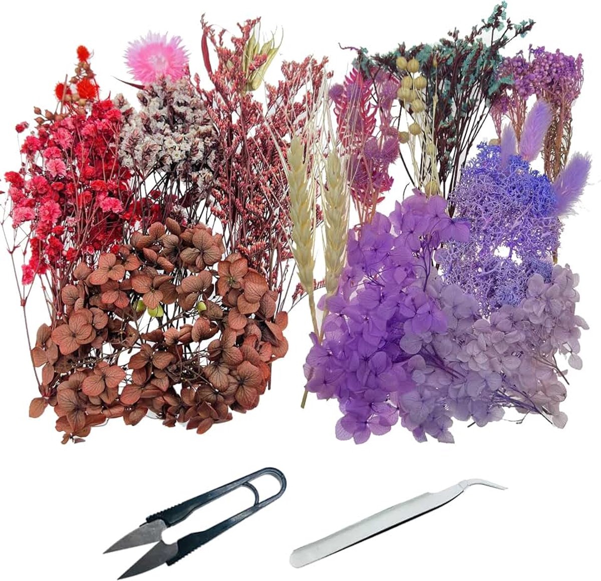 Gedroogde Bloemen voor Hars, Knutselen, Natuurlijke Bloemen, Pincet en Schaar voor Decoratie, Schelpen