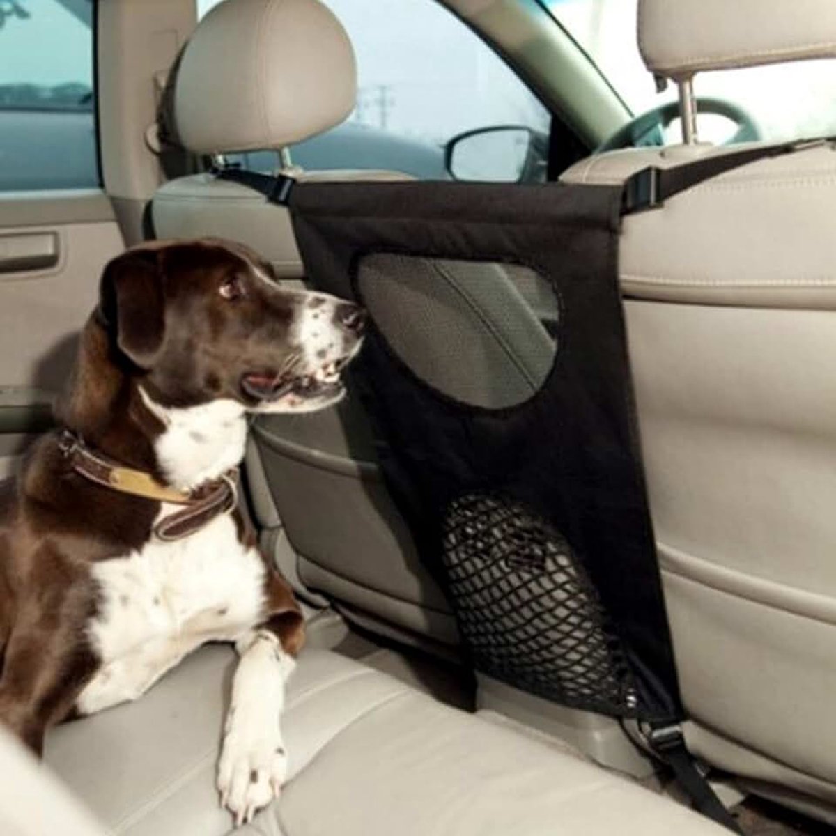 Veiligheidsgordel voor honden, voor auto, mesh, dierenbarrière
