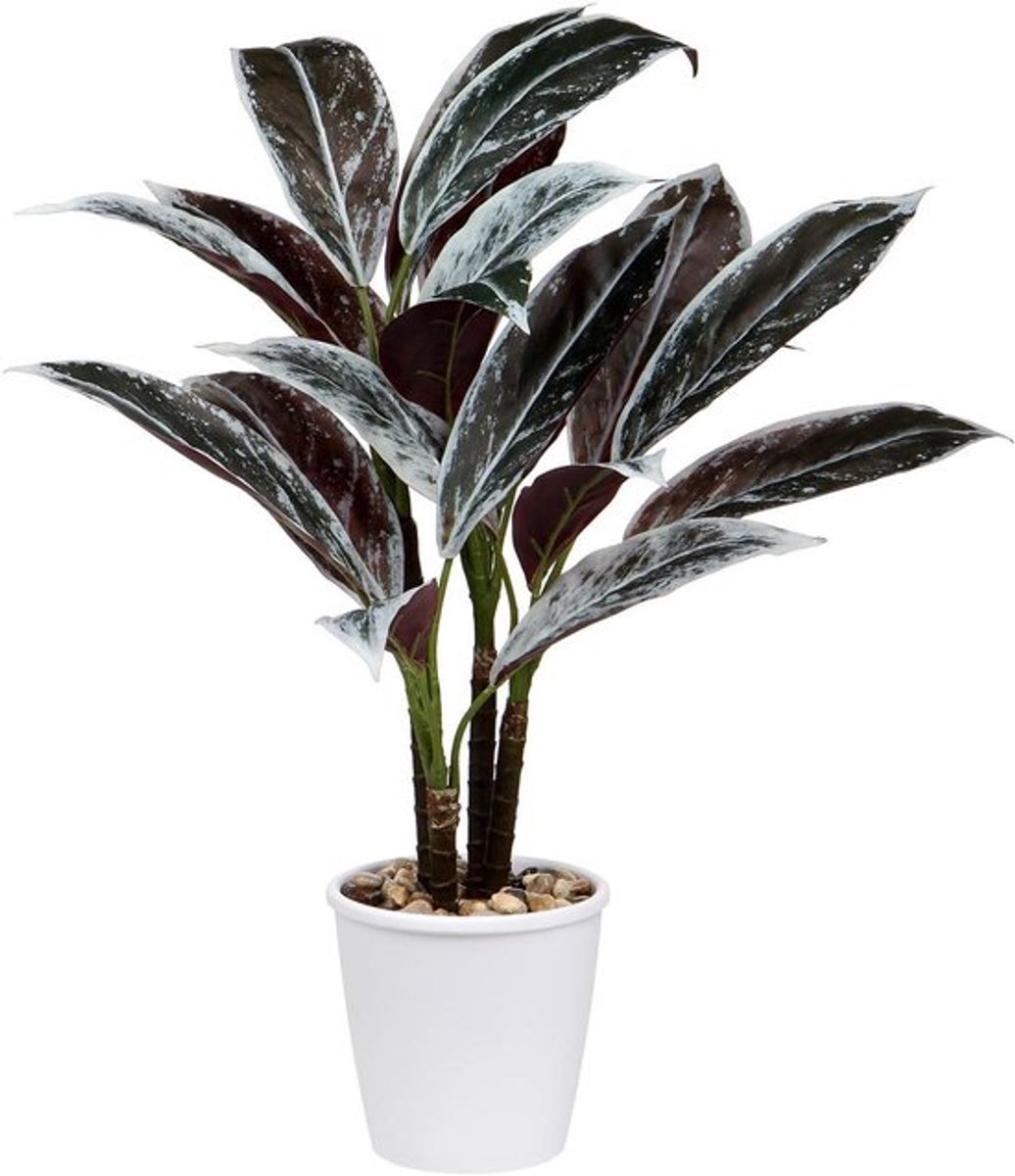 Kunstplant Cordyline Fruticosa 63 cm - Realistische Decoratie voor Binnen en Buiten, Ideaal voor Woonkamer, Badkamer en Balkon