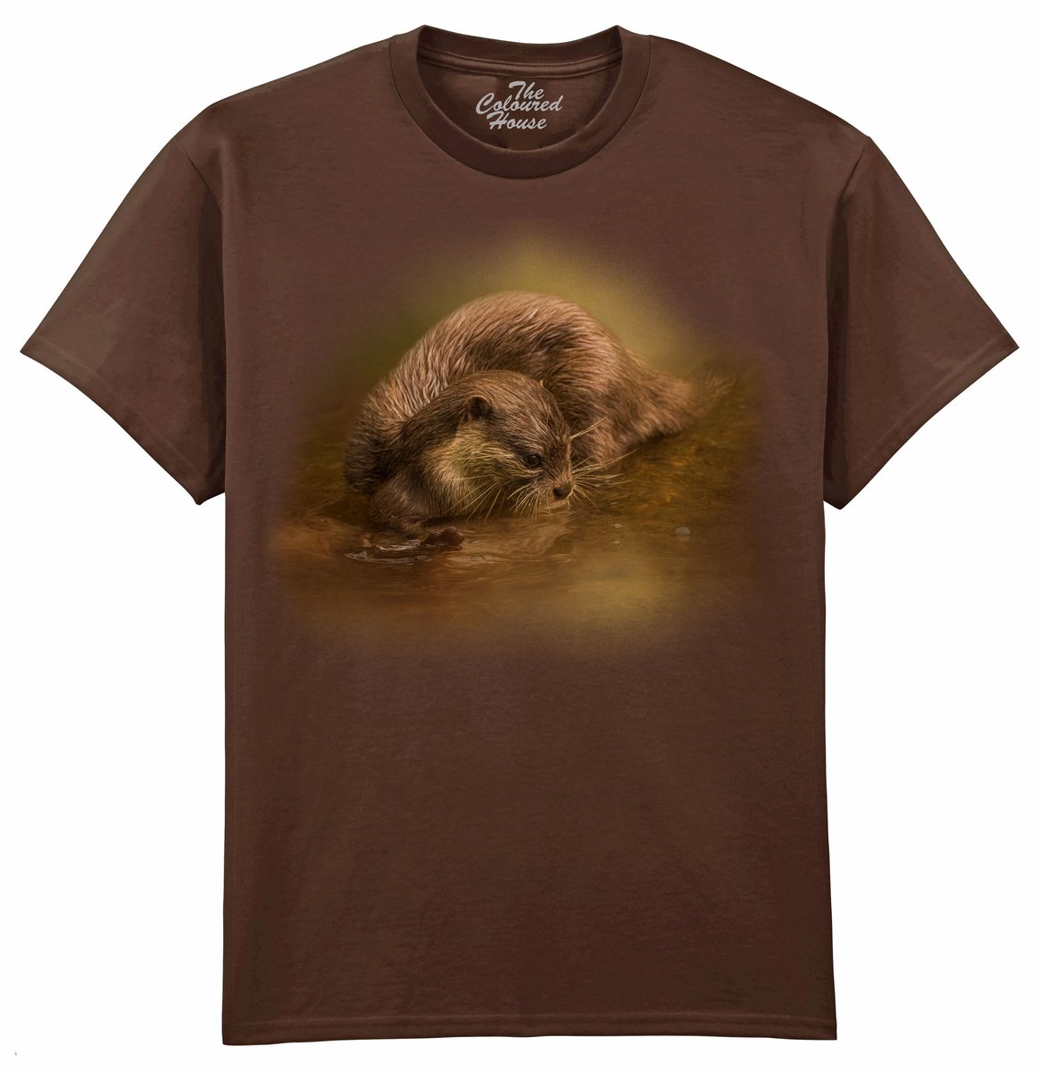 Otter Curiosity The Coloured House T-shirt L