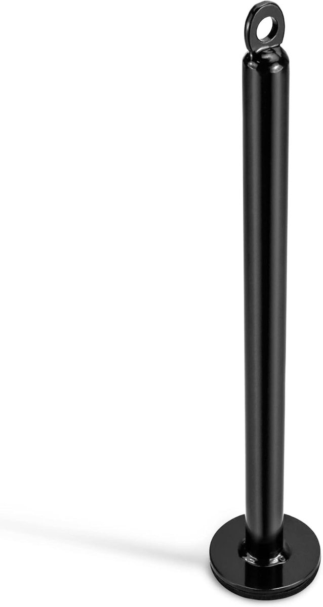 SnelShoppen - QWORK Gewichtsschijf Oplaadpen voor Thuis en Gym Fitness Workouts - 100 kg Laadcapaciteit - Diameter 20 x 320 mm - Stevige IJzeren Const