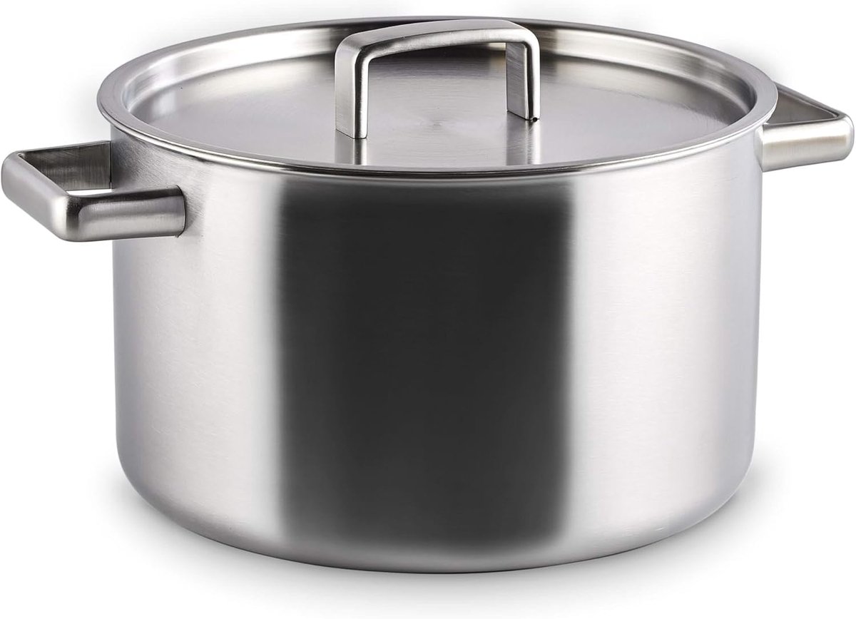 SnelShoppen - Soepketel 6 Liter - Rvs - 24 cm - Geschikt voor Alle Hittebronnen - Triply Materiaal - Ideaal voor Keuken en Feestdagen