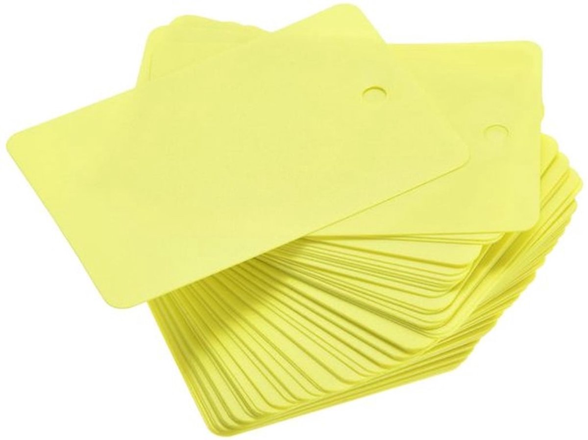 50 stuks Plastic Verzendlabels, 40x60x0.2mm Waterdichte Hangtags, Lege Labels met Oogje voor Productidentificatietags, Flapmarkering Buitenlabels, Geel