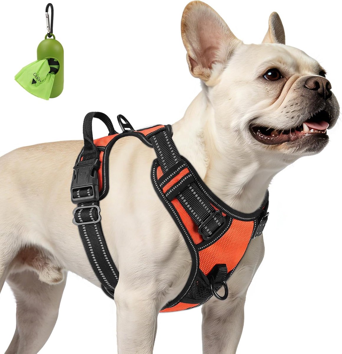 SnelShoppen - Hondentuigje voor Kleine Honden, No Pull Tuig met 2 Clips, Verstelbaar Zacht Gevoerd Hondentuig, Reflecterend, Met Gemakkelijke Controle