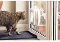 Gatronekat loopt naar een wit kattenluik in een glazen deur, met roze bloemen op de achtergrond.