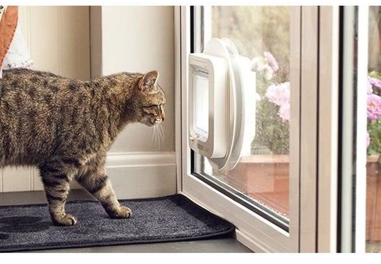 Gatronekat loopt naar een wit kattenluik in een glazen deur, met roze bloemen op de achtergrond.