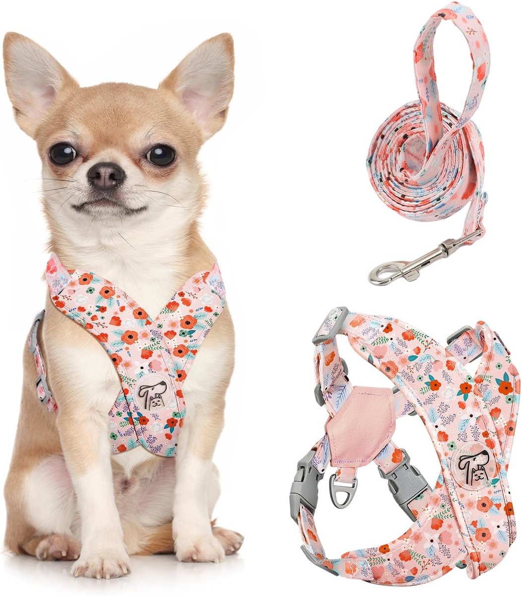Hondenharnas met Riem - Verstelbaar Tuigje voor Wandelingen - Ademend Gewatteerd X-vormig Tuig voor Kleine en Middelgrote Honden - Snelle Gespen - Comfortabele Pasvorm - Roze Bloemen
