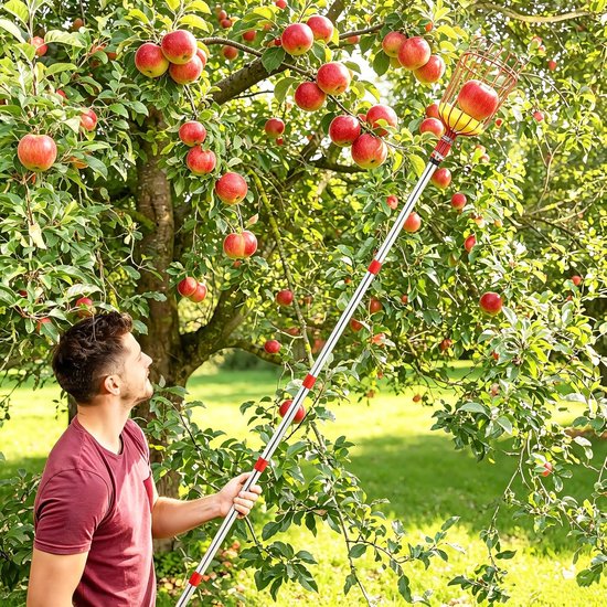 Telescopische fruitplukker, 4,2 m afneembare fruitplukker, tang met roestvrijstalen mand, fruitplukker met lichtgewicht verstelbare staaf, perenperzik tuinplukgereedschap - Appelplukker, telescopische pruimenplukker, klauwhaak, schuimkussen — afbeelding 5