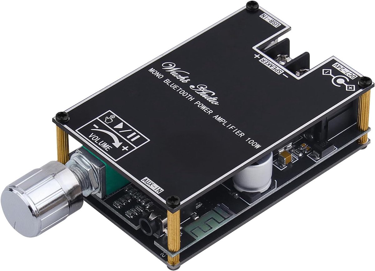 SnelShoppen - HiFi Mono Bluetooth Versterker 100W met AUX/USB, Mini TWS Audio Amplifier Module voor DIY Speakers, DC 7-24V, Perfect voor Feest en Camp