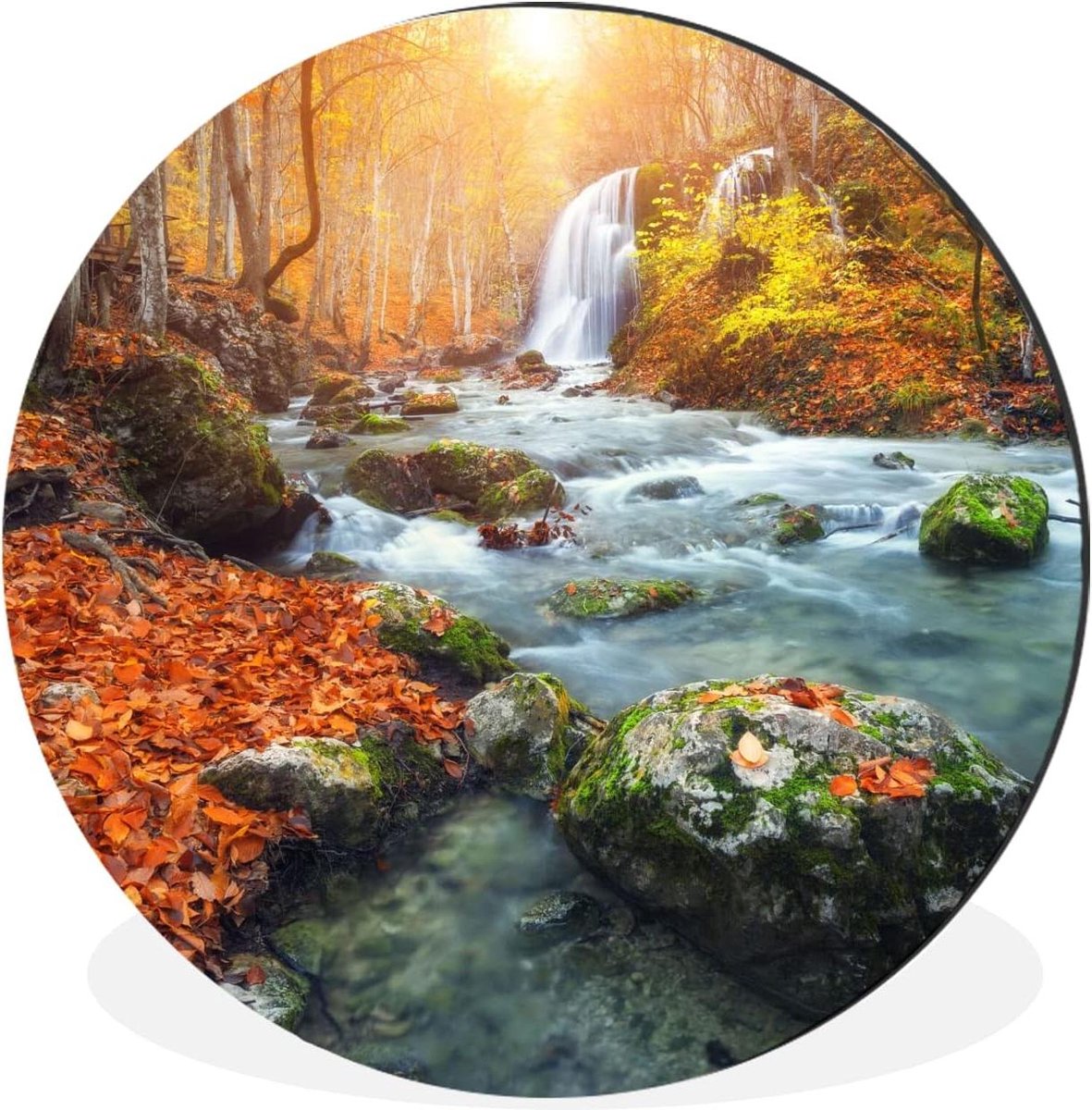 Wandcirkel - Muurdecoratie Rond - Woonkamer Aankleden - Duurzaam Dibond Aluminium - 30x30 cm - Natuur Herfst