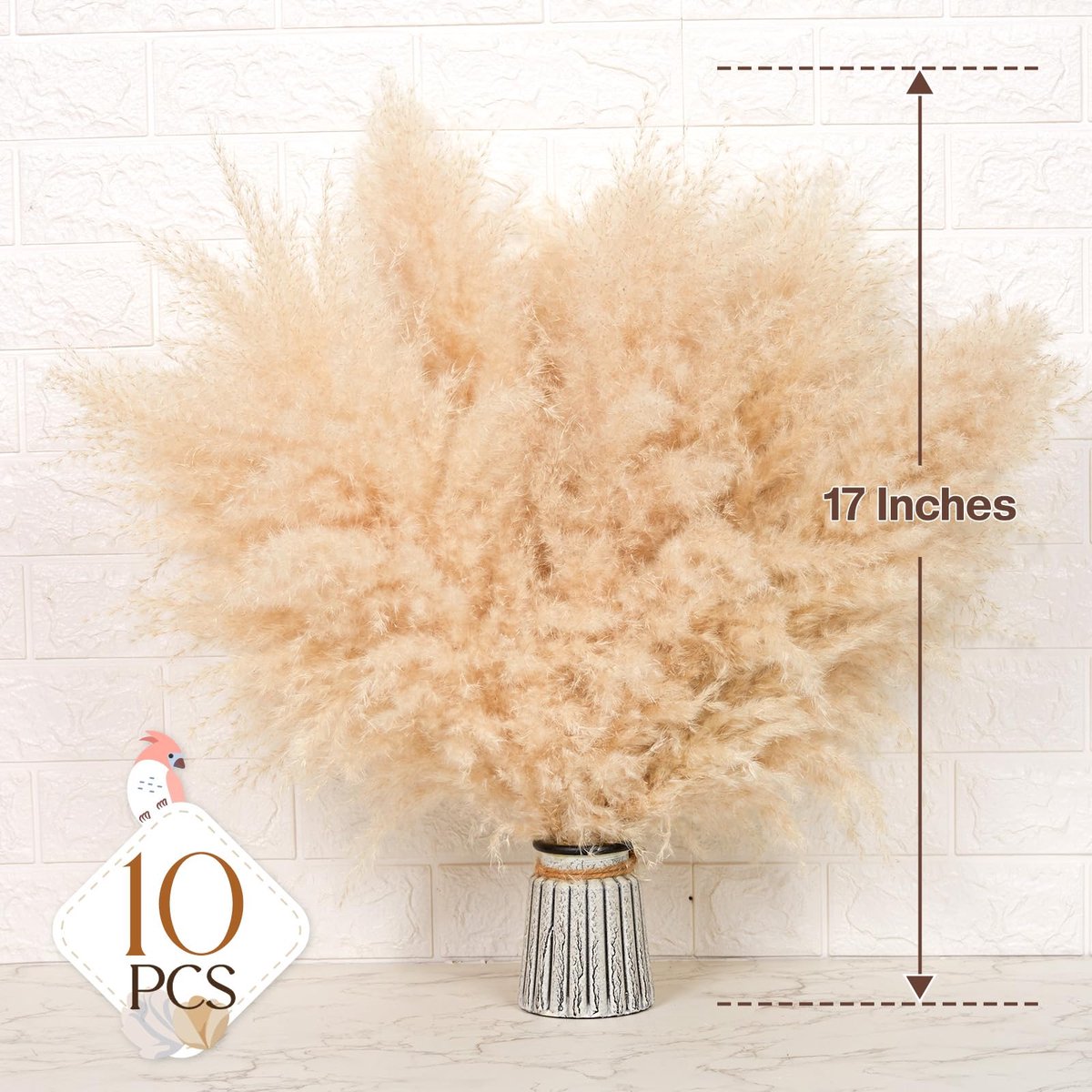SnelShoppen - Pampasgedroogde Decoratie, 10 Stukken Natuurlijke Gedroogde Bloemen, 43 cm Pampasgras voor Bohemien Huisdecoratie, Bruiloft, Champetre,