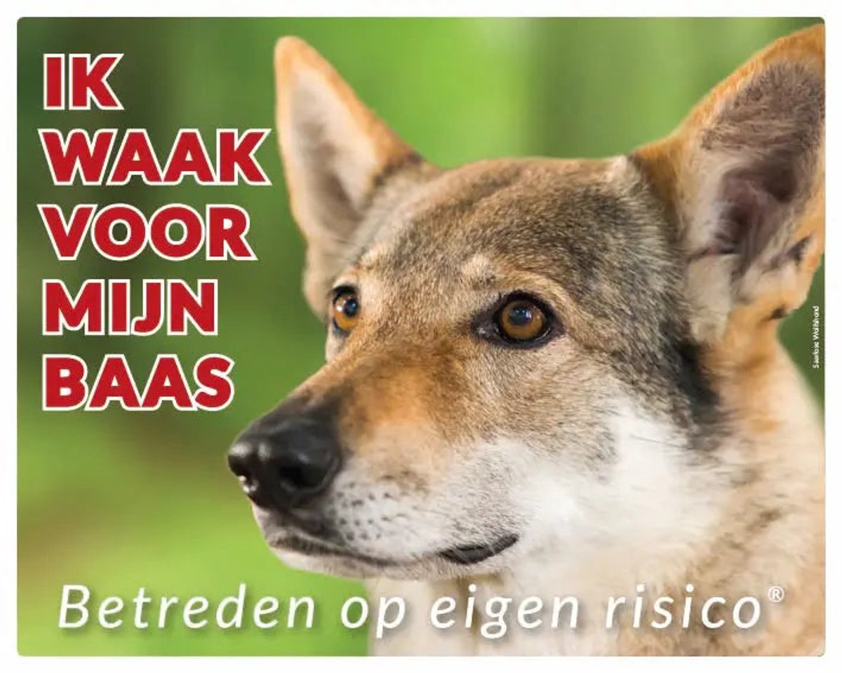 Saarlose Wolfshond Waakbord