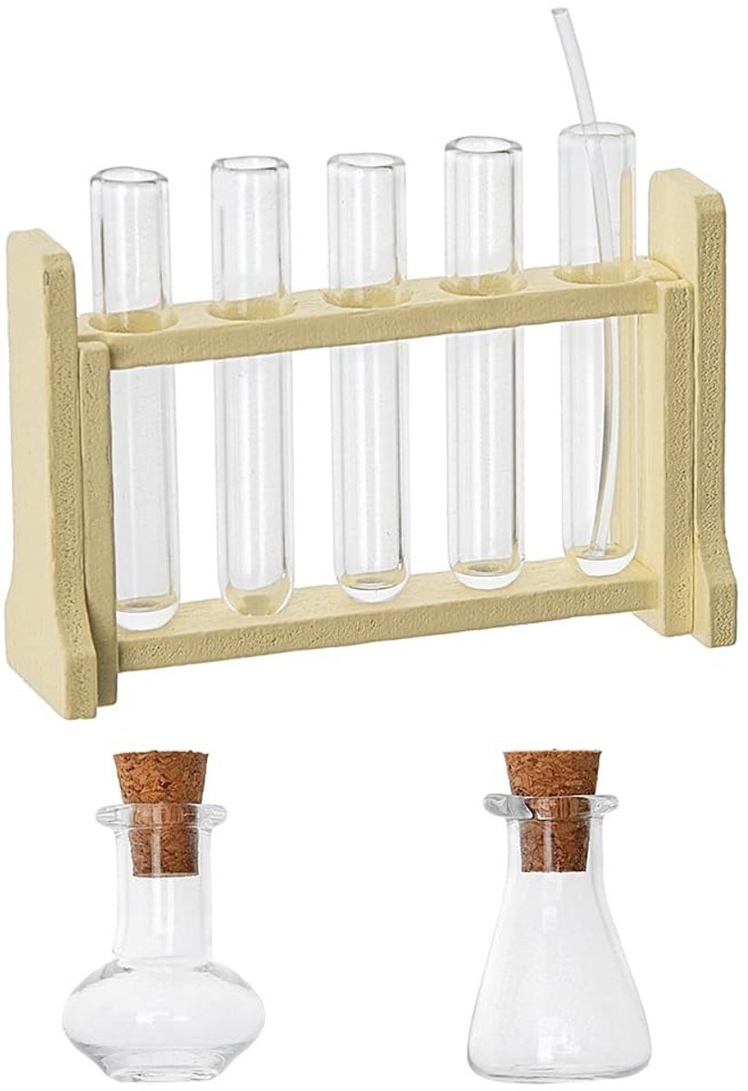 Dailygoods- Reageerbuisframe Mini - Houten/Glazen Set - Kleine Wetenschapsset - Micro Landschap Ornament - Decoratie - Experimenten - Miniatuur Reageerbuis