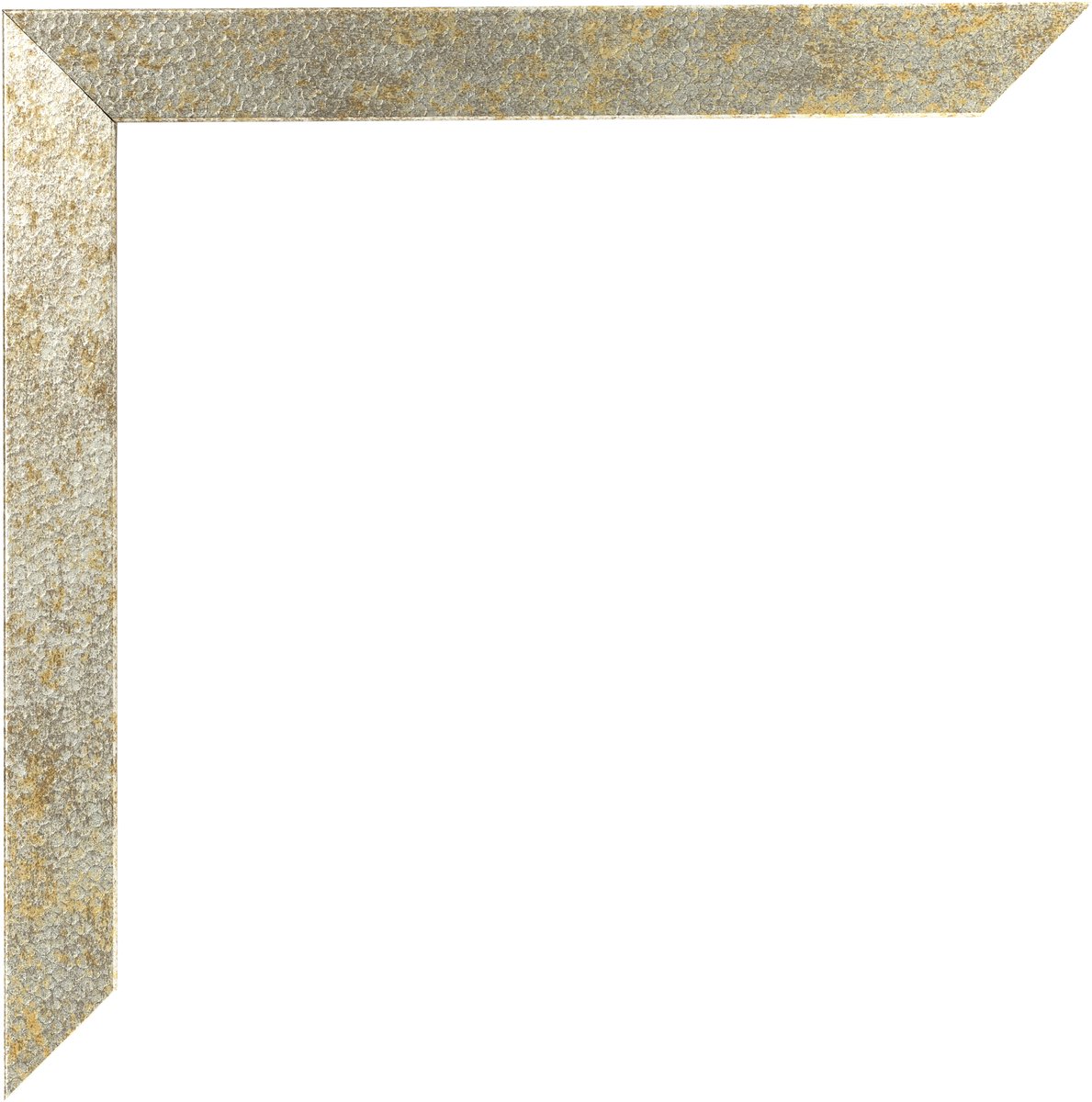 Fotolijst 20x40 cm - MDF - Zilver-Goud Hamerslag - Benno