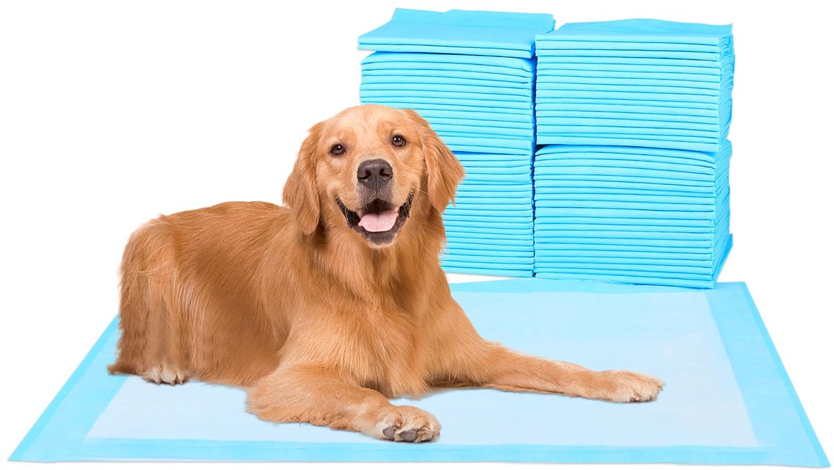 Superabsorberend waterdicht trainingskussen voor honden en puppy's, huisbrekend huisdierkussen, 20 stuks groot formaat, 50 x 90 cm, blauw, groot, 20 stuks