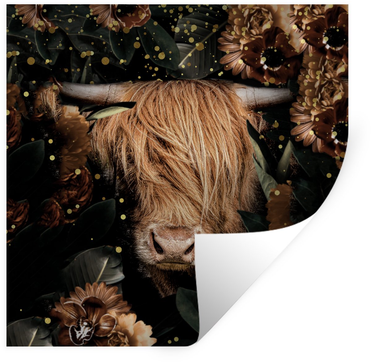 Muurstickers - Sticker Folie - Schotse hooglander - Dieren - Bloemen - Licht - 100x100 cm 