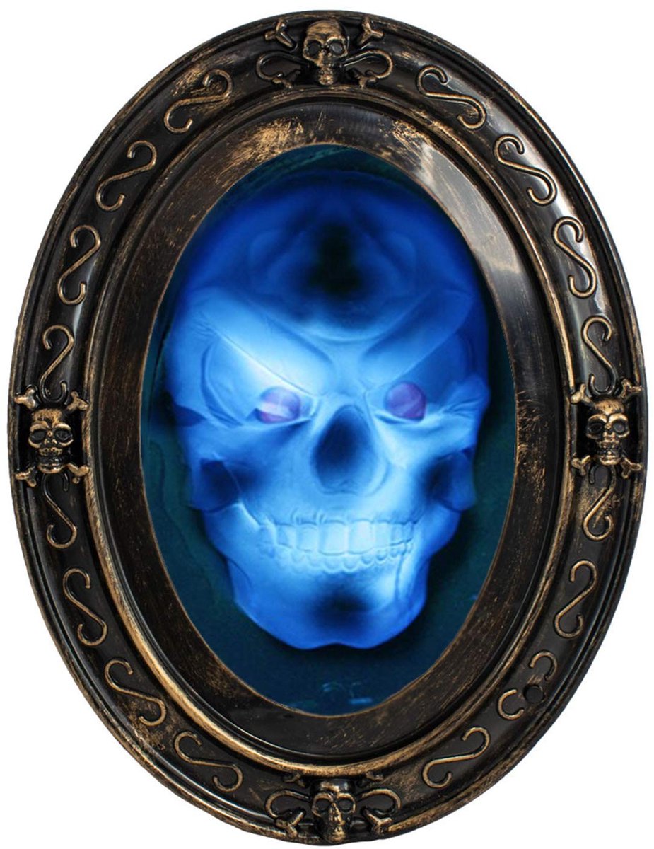 Dailygoods- Spiegel met verlichting - Ovale Halloween-spiegel - Geluidsgestuurd - Decoratie woonkamer - Griezelschedel - Handmatig te activeren