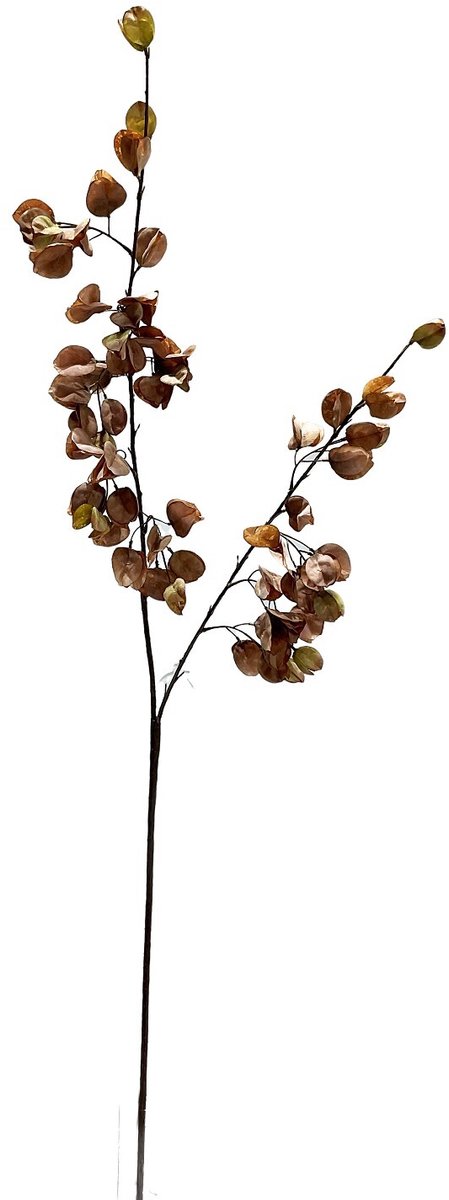 Kunst bloesemtak Koelreuteria 122cm taupe