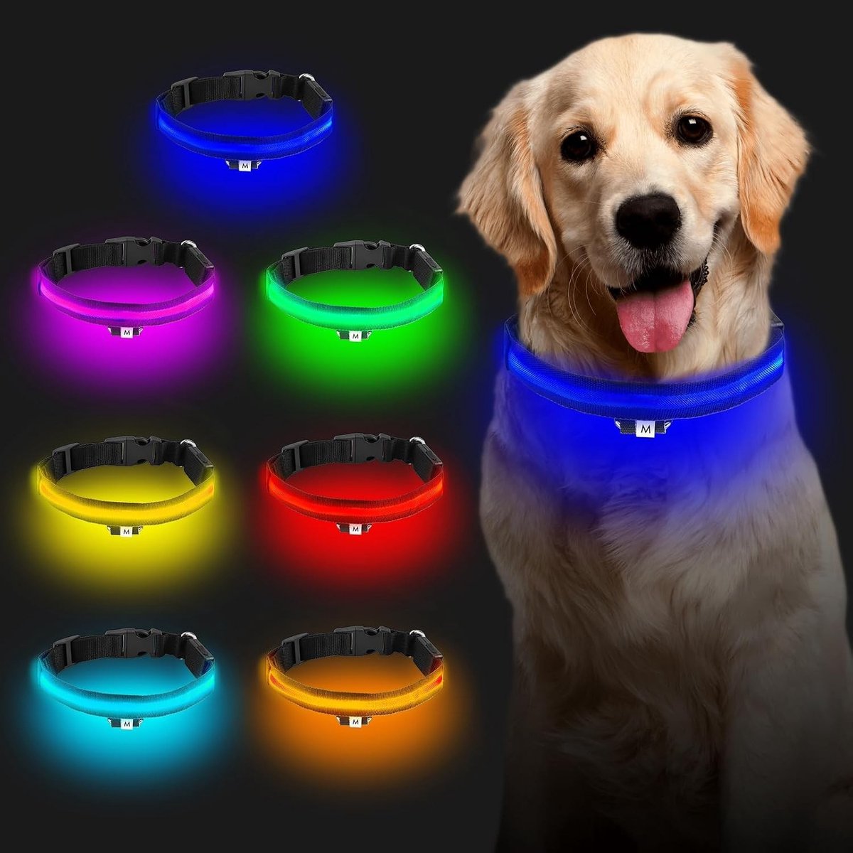 Oplaadbare LED Hondenhalsband - Multicolor - Medium (40-48 cm) - Waterdichte en Verstelbare Halsband - Voor Honden