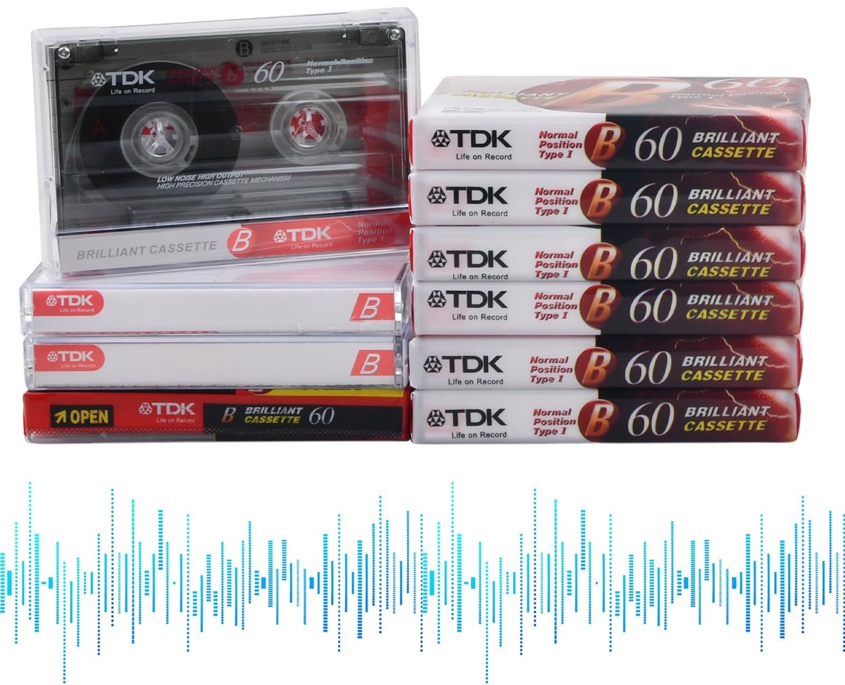 Dailygoods - 10-pack cassettebandjes, ruisarme audiocassettes, 60 minuten ruisarme muziekcassettes, transparante plastic cassettehoes, lege cassettes, voor lezingen, seminars en dagelijkse opnames