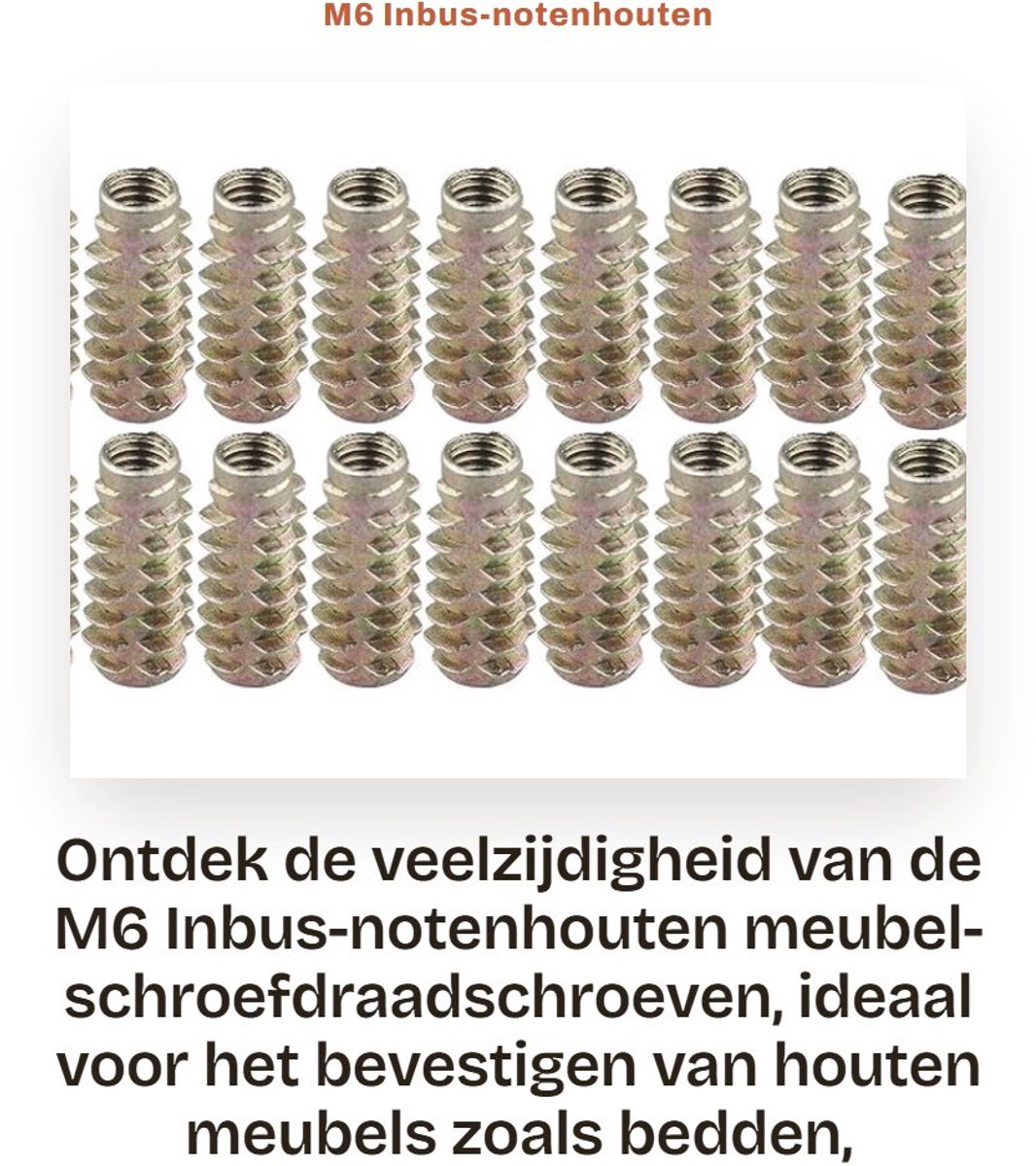 Dailygoods- Inbus-schroeven M6 - Houtschroeven Assortiment - 20 Stuks - Roestvrij en Duurzaam - Eenvoudig te Installeren - Voor Houten Meubels