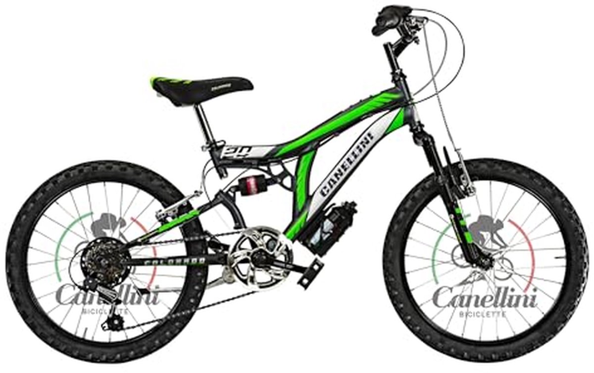 Kinderfiets MTB Mountainbike Kinderen Buitenritten Dubbele vering 20 inch Titanium groen