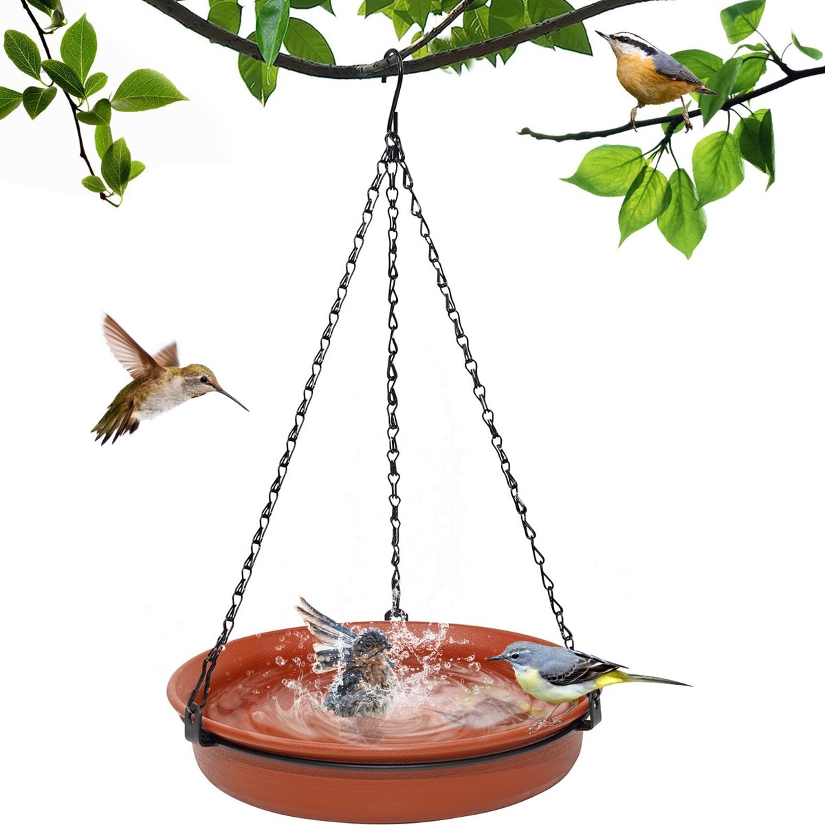 Dailygoods- Vogelbad Hangend - Vogelvoederstation - Tuin Decoratie - Vogelobservatie - Eenvoudig te Reinigen - Inclusief Haak en Ketting - Vogelvoeder