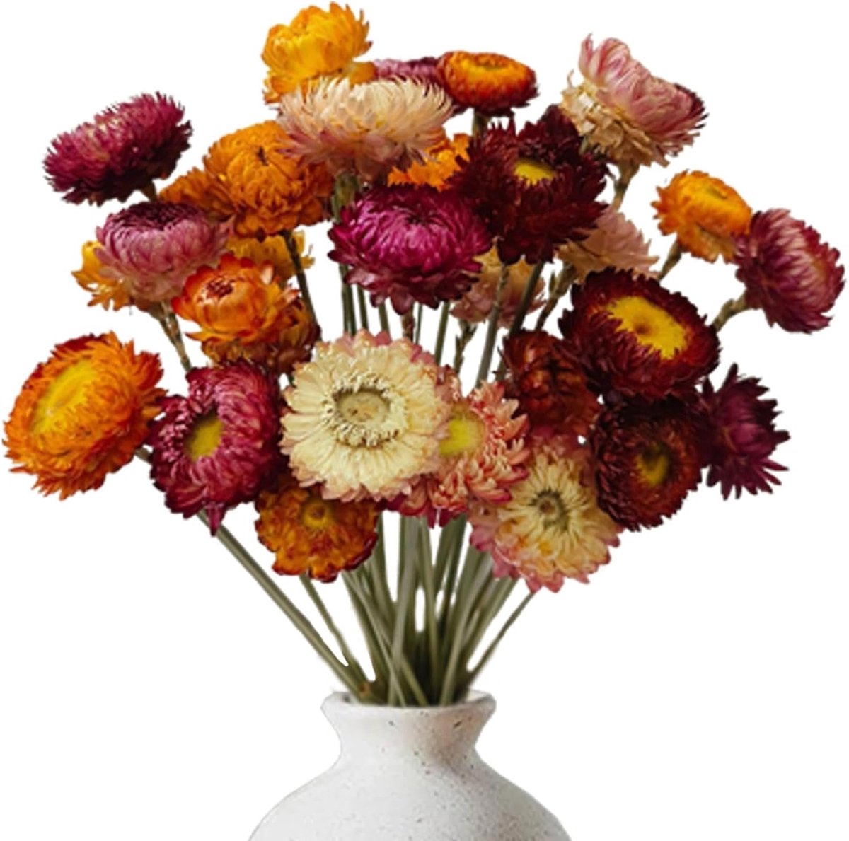 20 stuks gedroogde bloemen - gemengde kleuren - bloemen - madeliefjes - Natuurlijke gedroogde bloemen - decoratie - mini-boeketten voor knutselen - scrapbooking - bruiloften en thuis