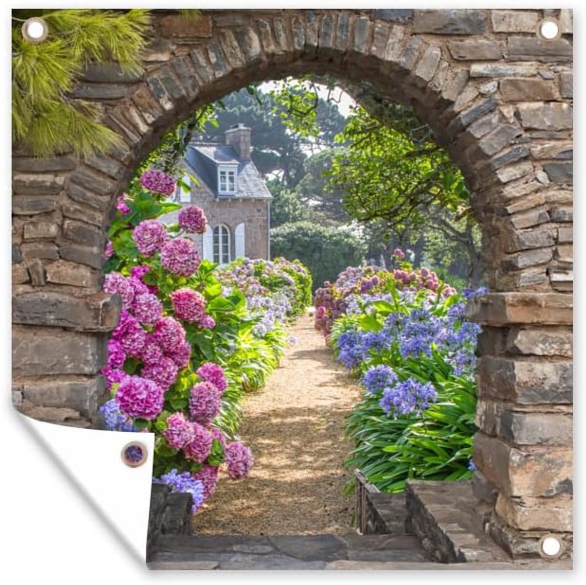 Tuinposter - 200x200 cm - Bloemen - Doorkijk - Hortensia - Zomer