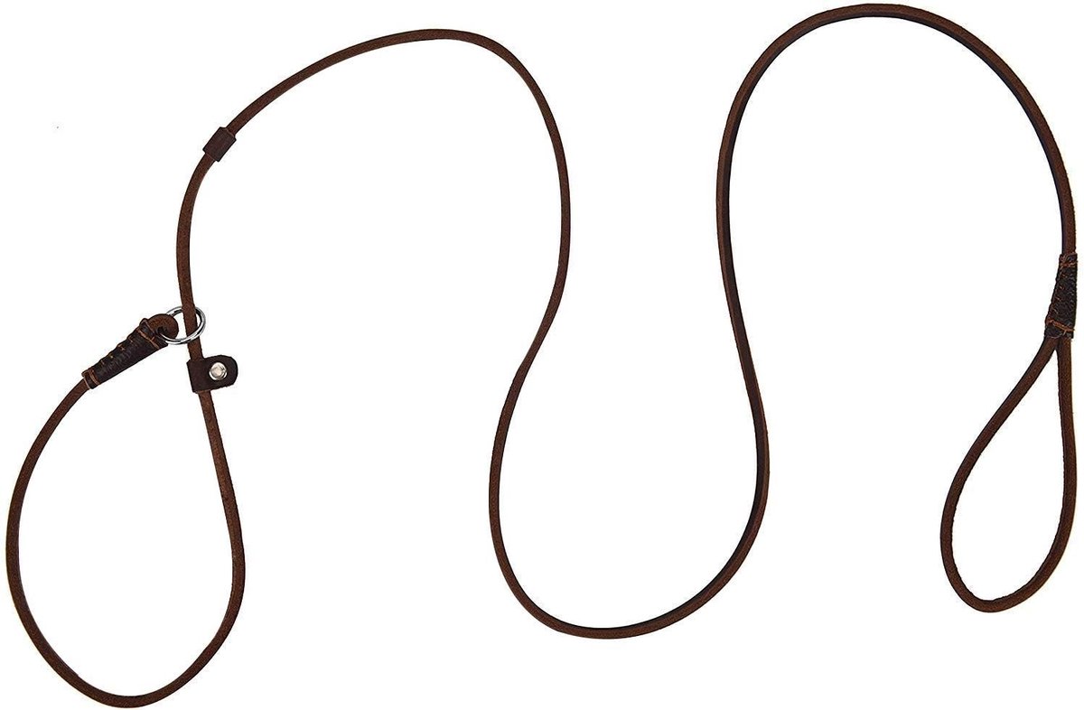 Hondenriem - Donkerbruin - 160 cm - Echt Leren Verstelbare Slanke Trainingsriem - Voor Kleine en Middelgrote Honden