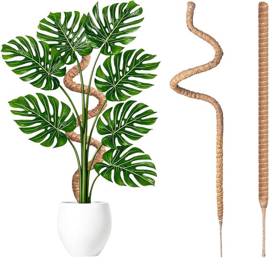 Moss Stokken voor Monstera en Klimplanten - 60cm Buigbare Kokos Stokken, Ondersteuning voor Binnenplanten, Groene Plantensteun en Klimhulp