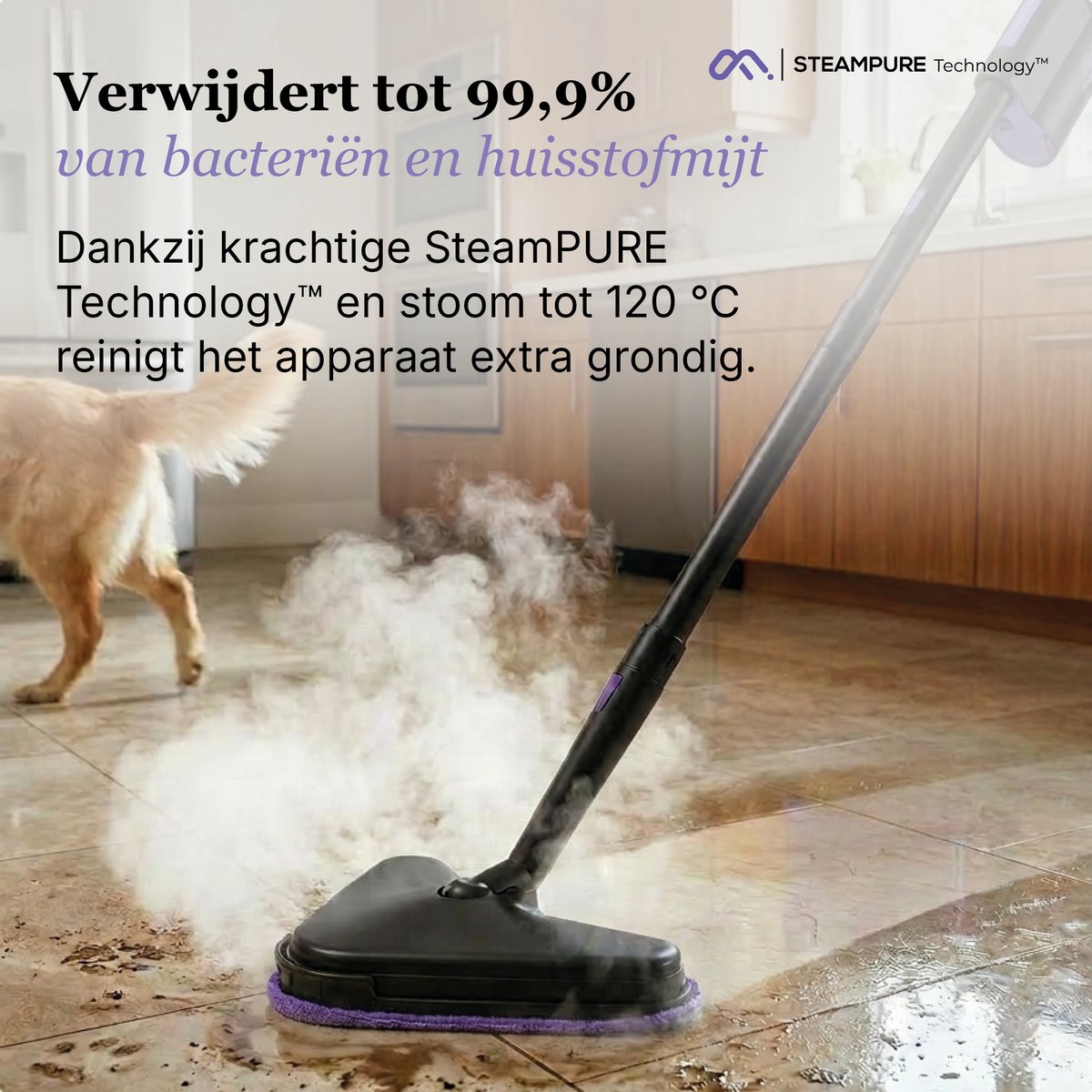 Motionflow 16-in-1 Stoomreiniger - Handstomer voor diepte reiniging vloer, bank, badkamer en tapijt - Elektrische Dweil - Stoomdweil - Tapijtreiniger en Vlekkenreiniger - Steam Cleaner Zwart – foto 2