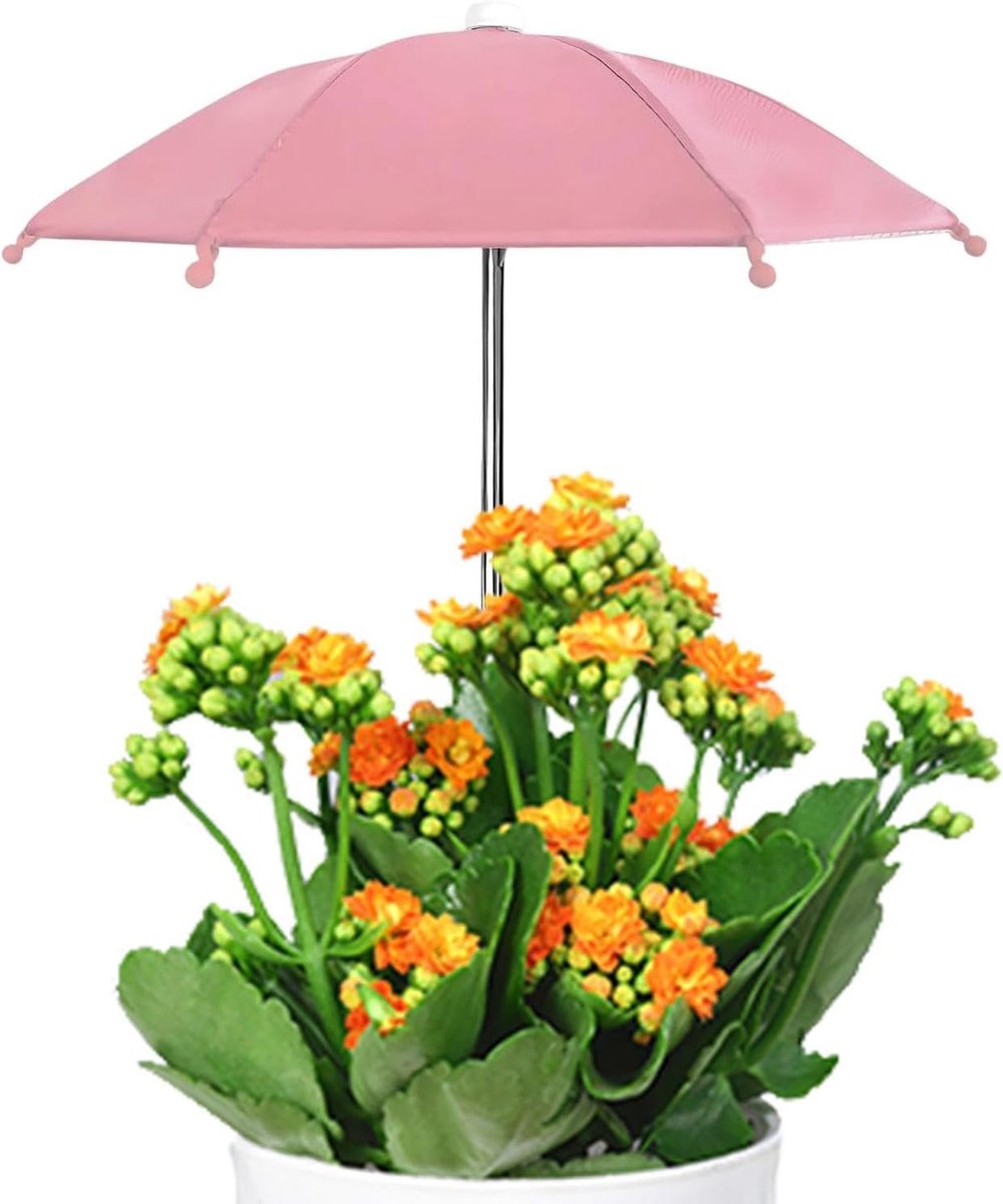 Kleine Plantenparasol - Schaduwbeschermer Bloemen - Bescherming Tegen Zon - Zilveren Coating - 27x35cm - Zilver