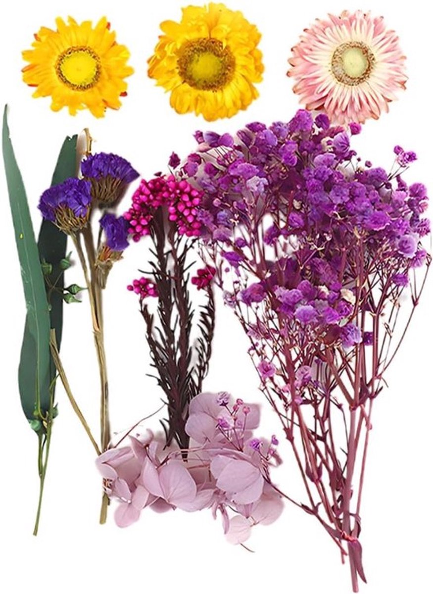 Gedroogde bloemen Allecto Plus - Boeket voor hars en decoratie
