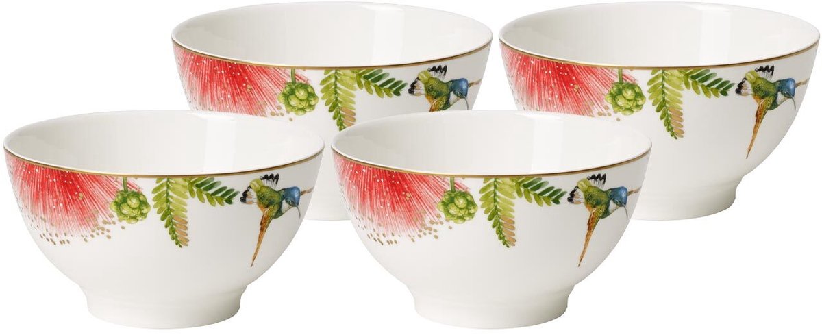 Müslischalen Amazonia ø 14,9 cm Set van 4
